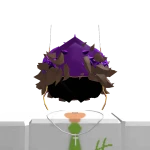 kaveeo
